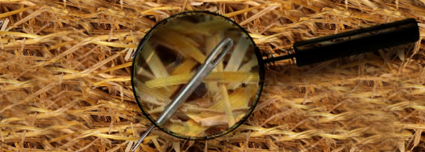 ¿En qué se está fijando Google para el posicionamiento web de tu sitio?