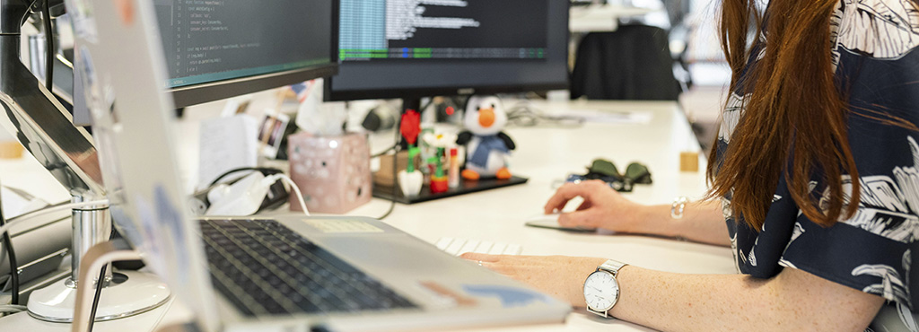 Diseño Web El Charko