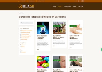 Instenat - Diseño Web El Charko