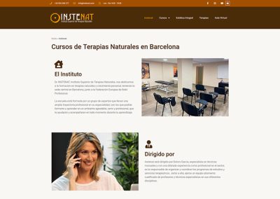 Instenat - Diseño Web El Charko