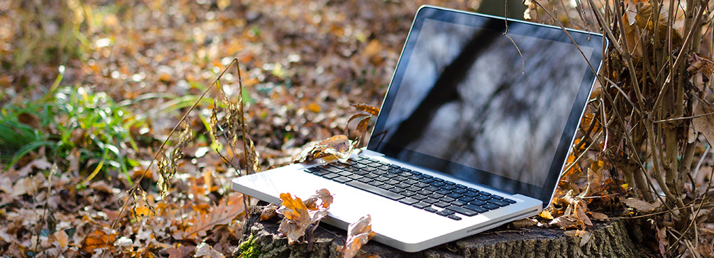 BERT, la nueva actualización de búsquedas